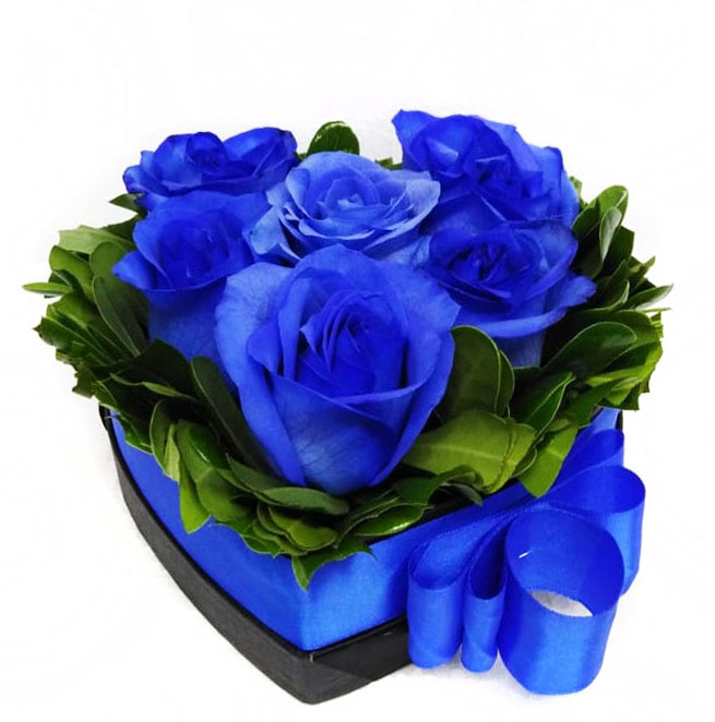6 Rosas Azules en Caja Coraz�n 